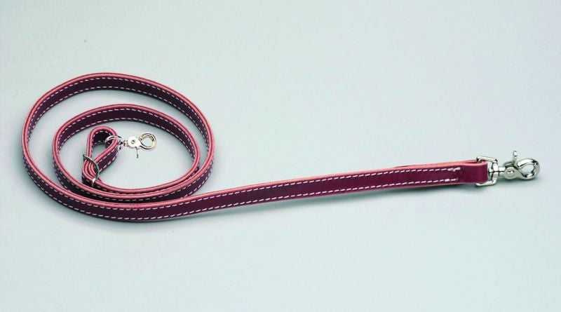 Colorado Saddlery Heavy Latigo Tie Down 3/4 x 54 B