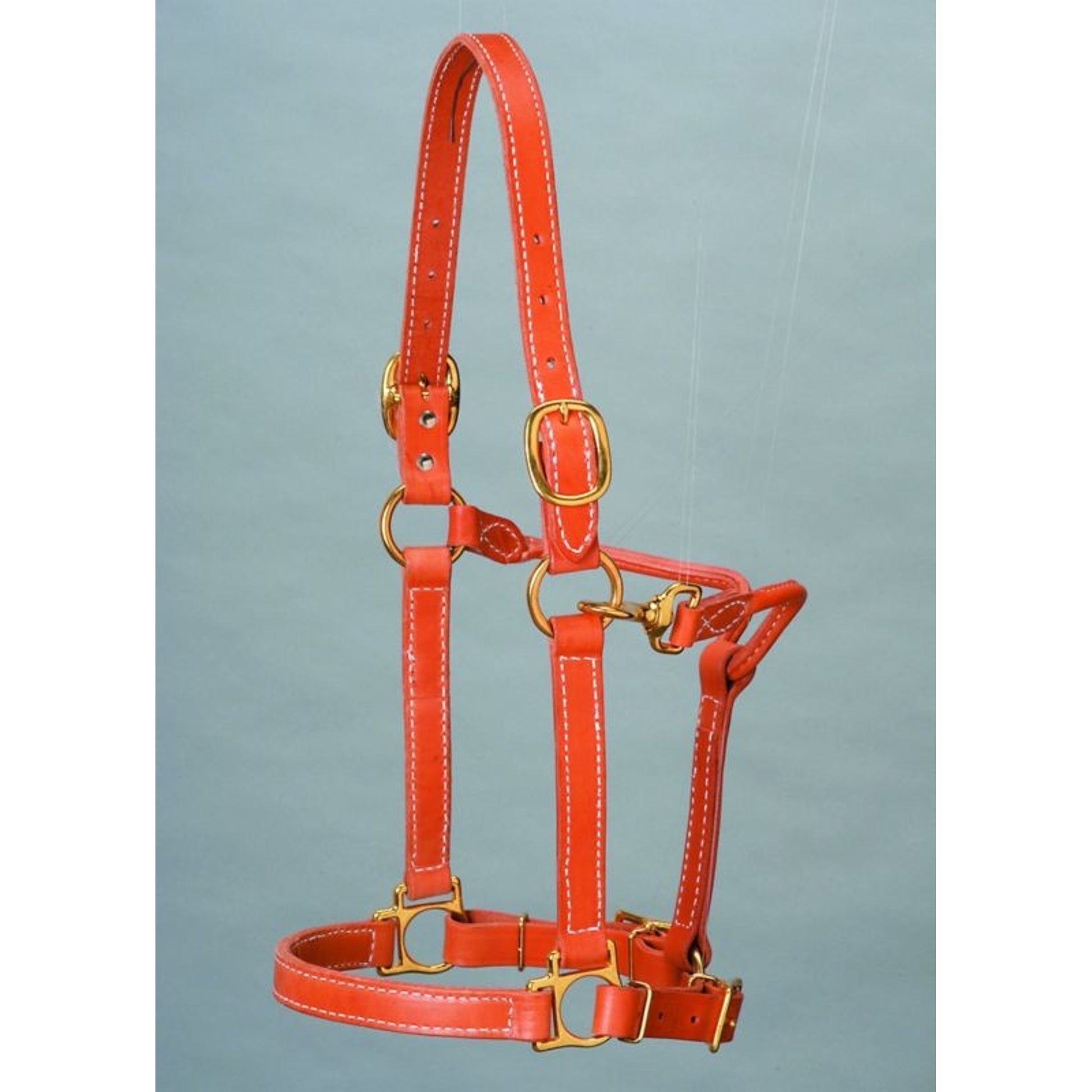 Top Of The Line Leather Track Style HalterBrn