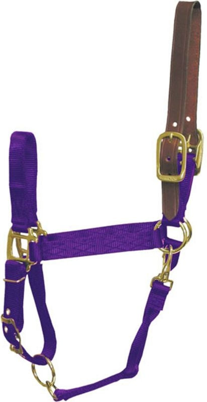 Hamilton Adjustable Breakaway Horse Halter Purple