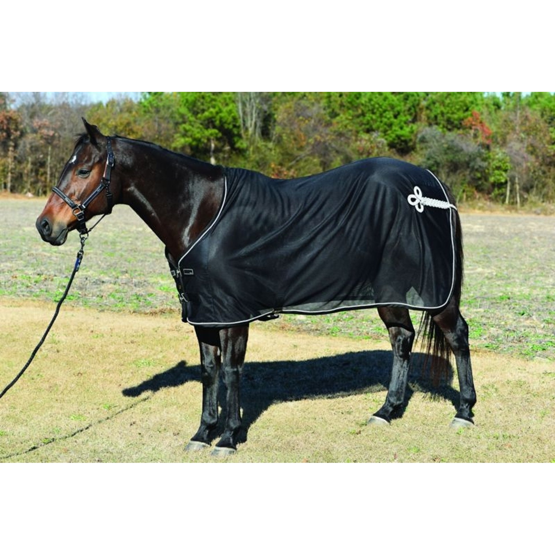 Lami-Cell Classical Mesh Cooler