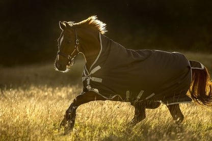 Amigo Bravo 12 Wug Medium 250g Turnout Blanket