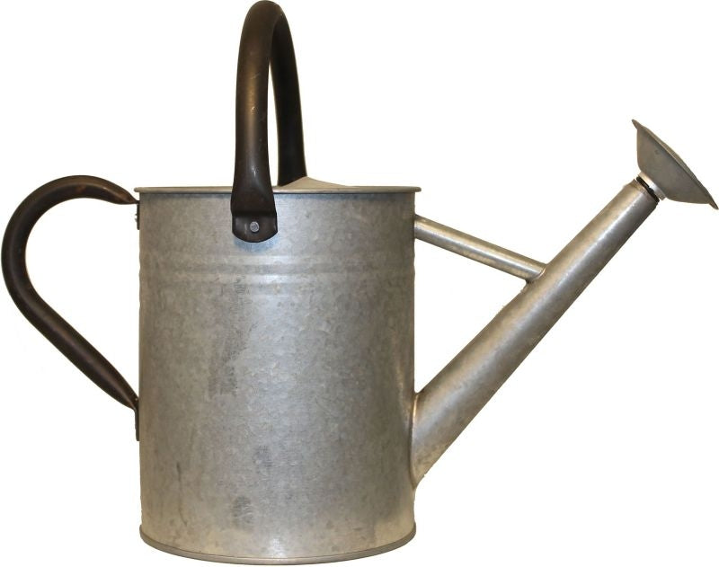 Aged Galvanized Watering Can 1 Gal Galvanized