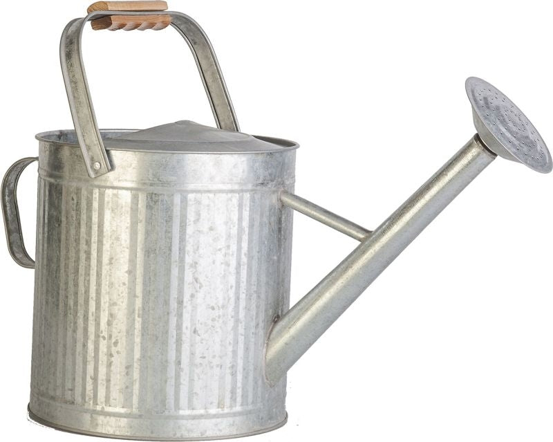 Vintage Galvanized Watering Can with Handle 2gal