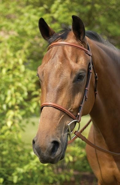 Henri de Rivel Advantage Flat Laced Reins