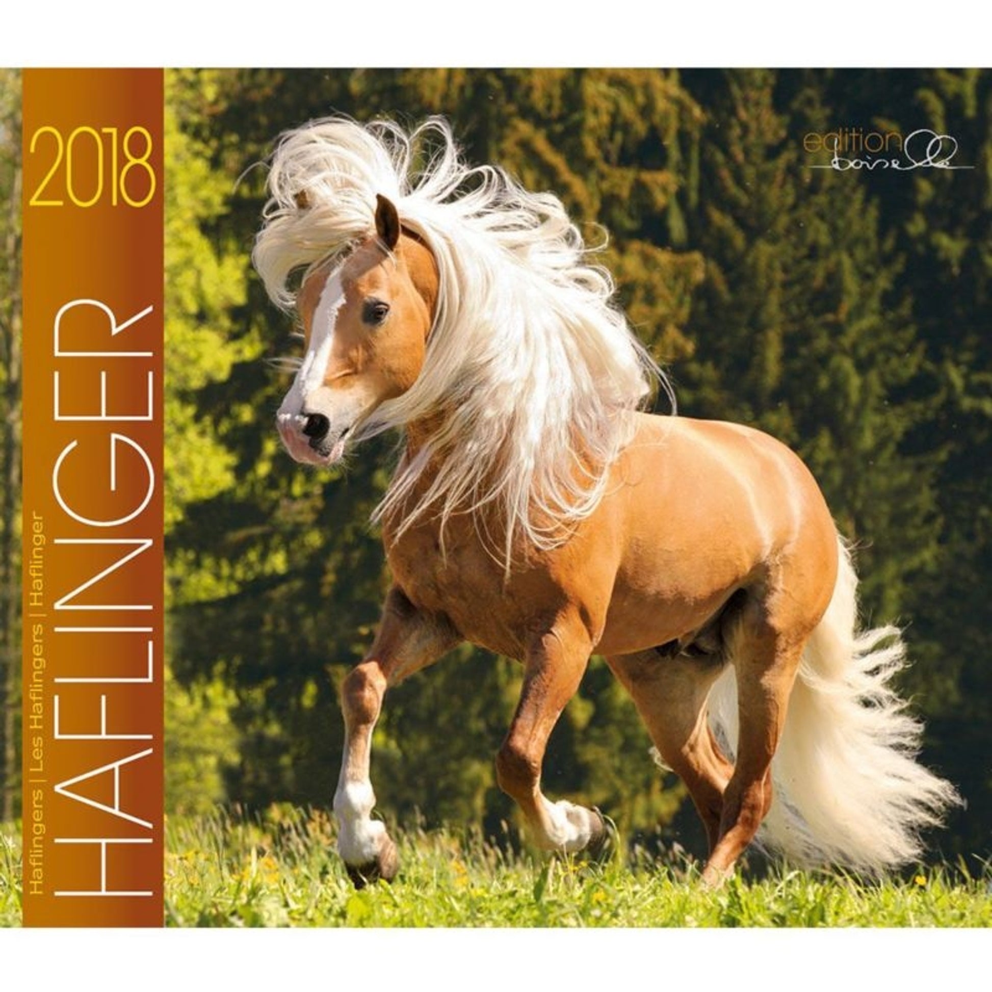 Boiselle Mid Sz Calendar Boiselle Halflinger 2018