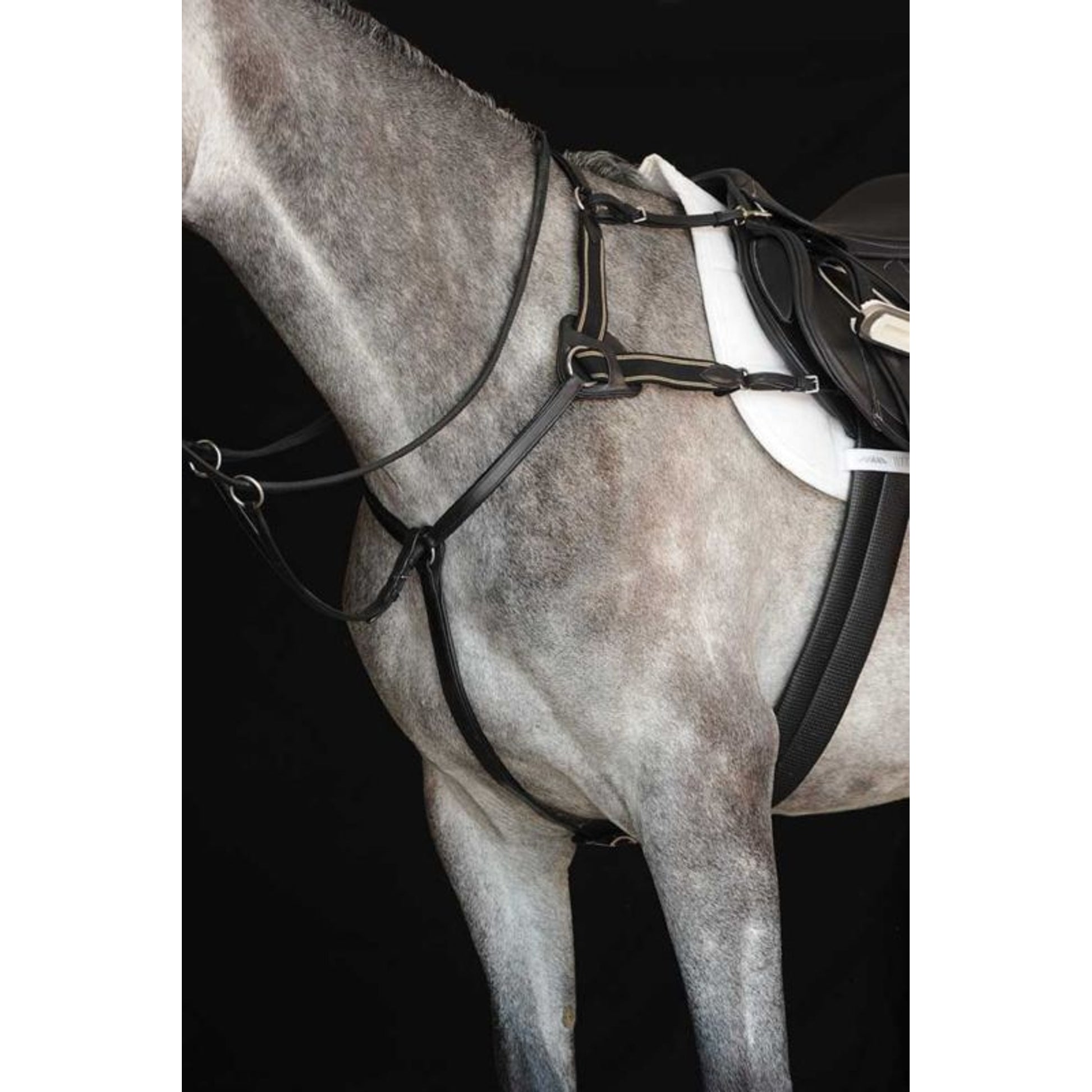 Collegiate 5 Point Breastplate