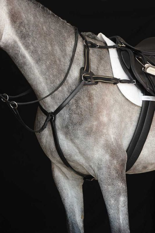 Collegiate 5 Point Breastplate