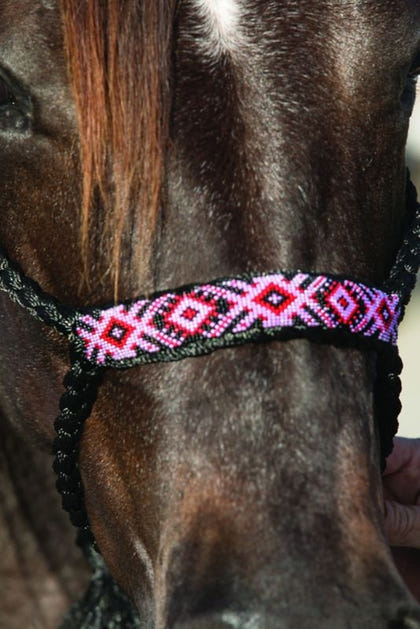 Pro Cho Cowboy Braided Halter 10 Lead Black