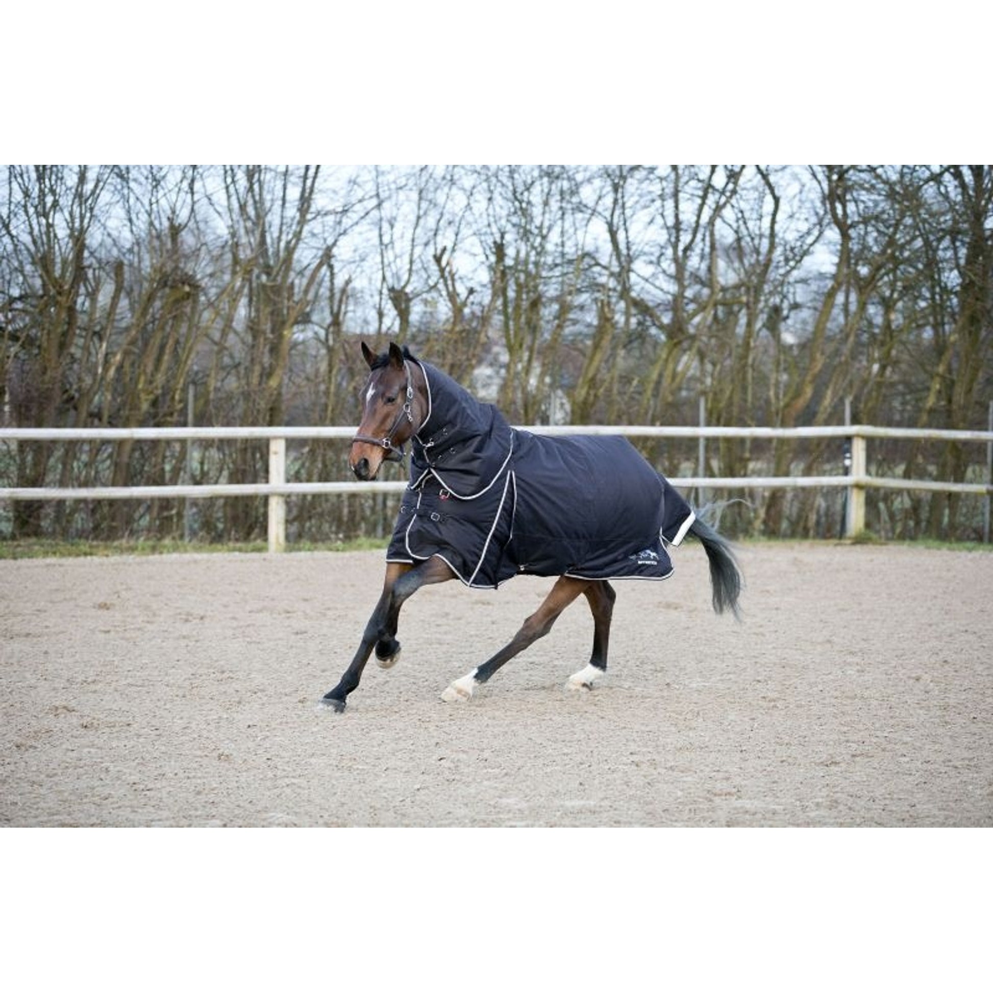 B Vertigo Georgina Detach Med TO 250G