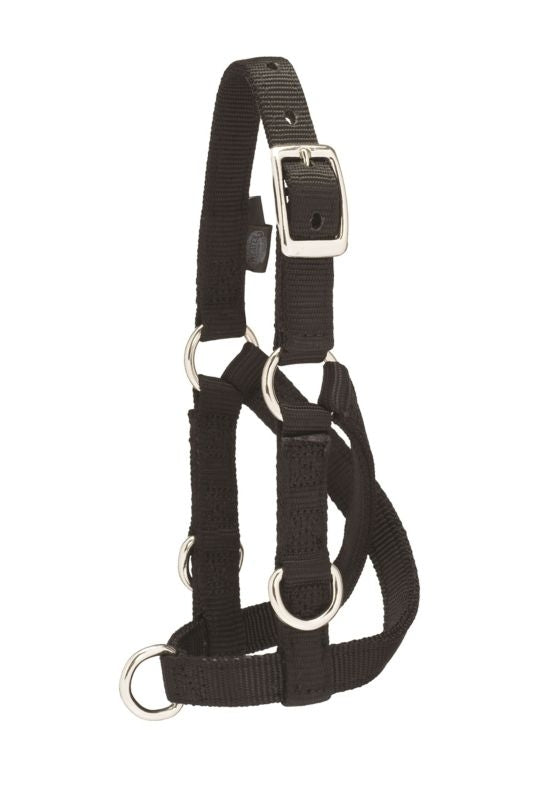 Weaver Sheep And Goat Training Halter