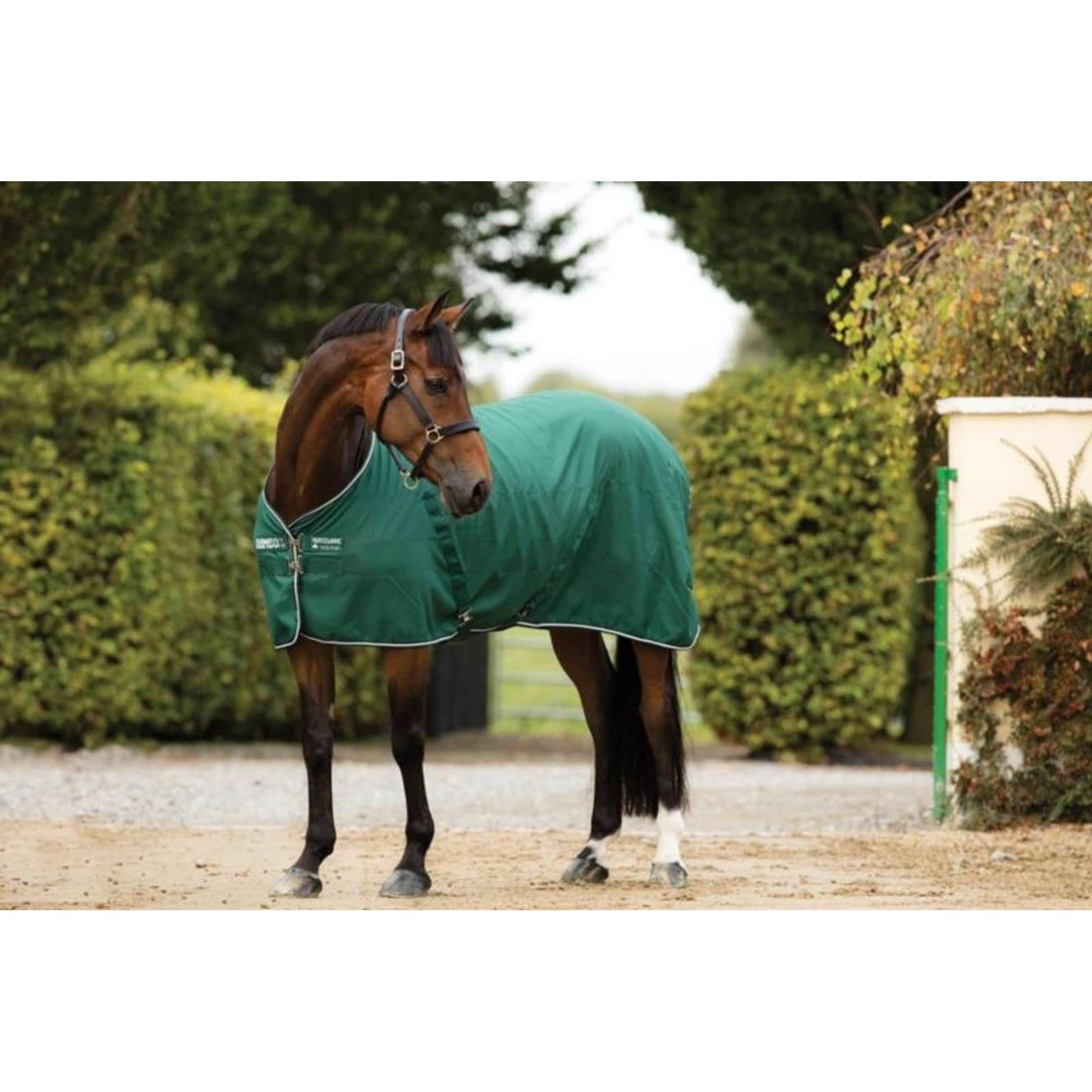 Rambo Stable Sheet