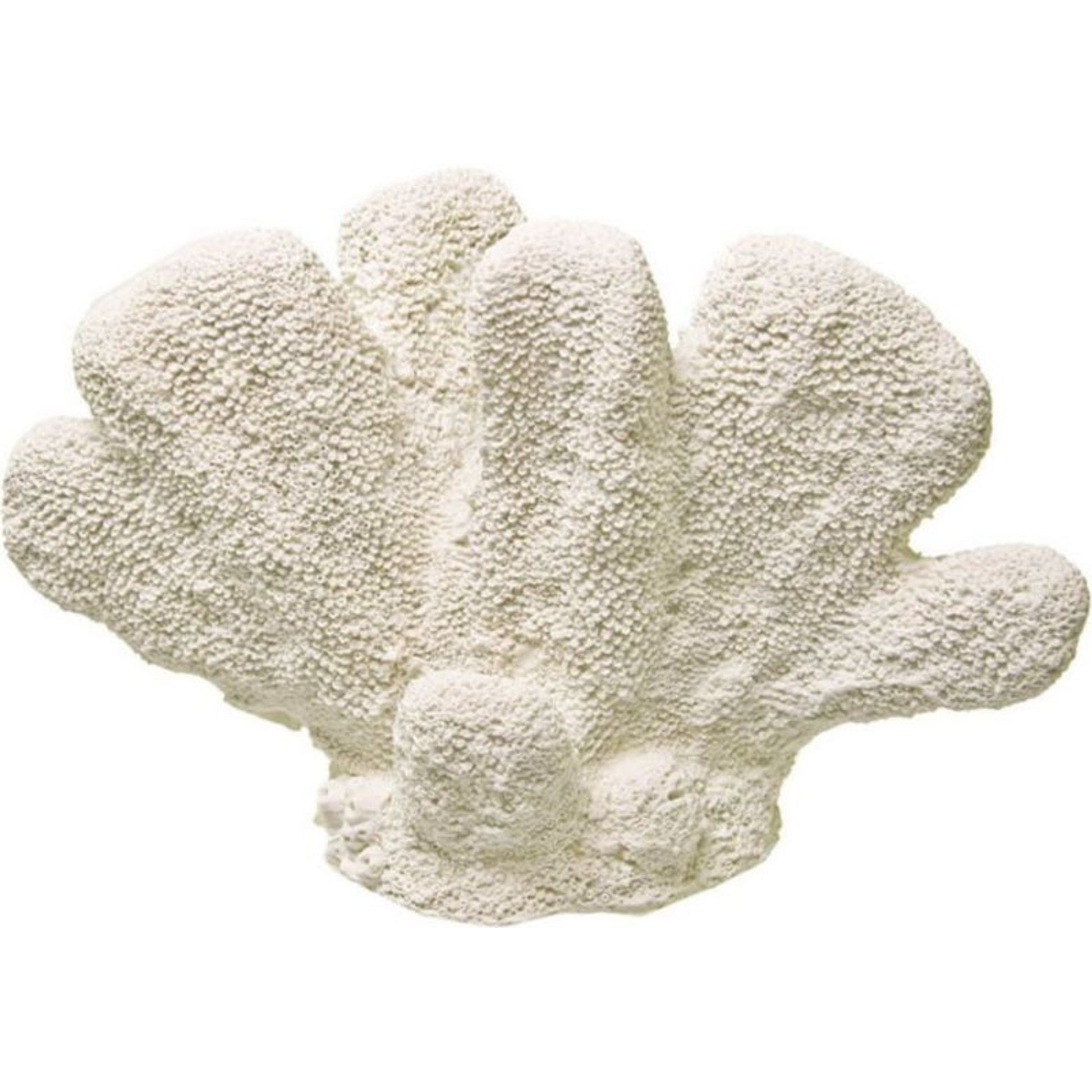 Exotic Environments CatS Paw Coral Medium White