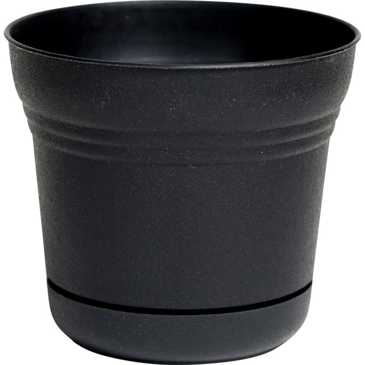TH1526672.jpg