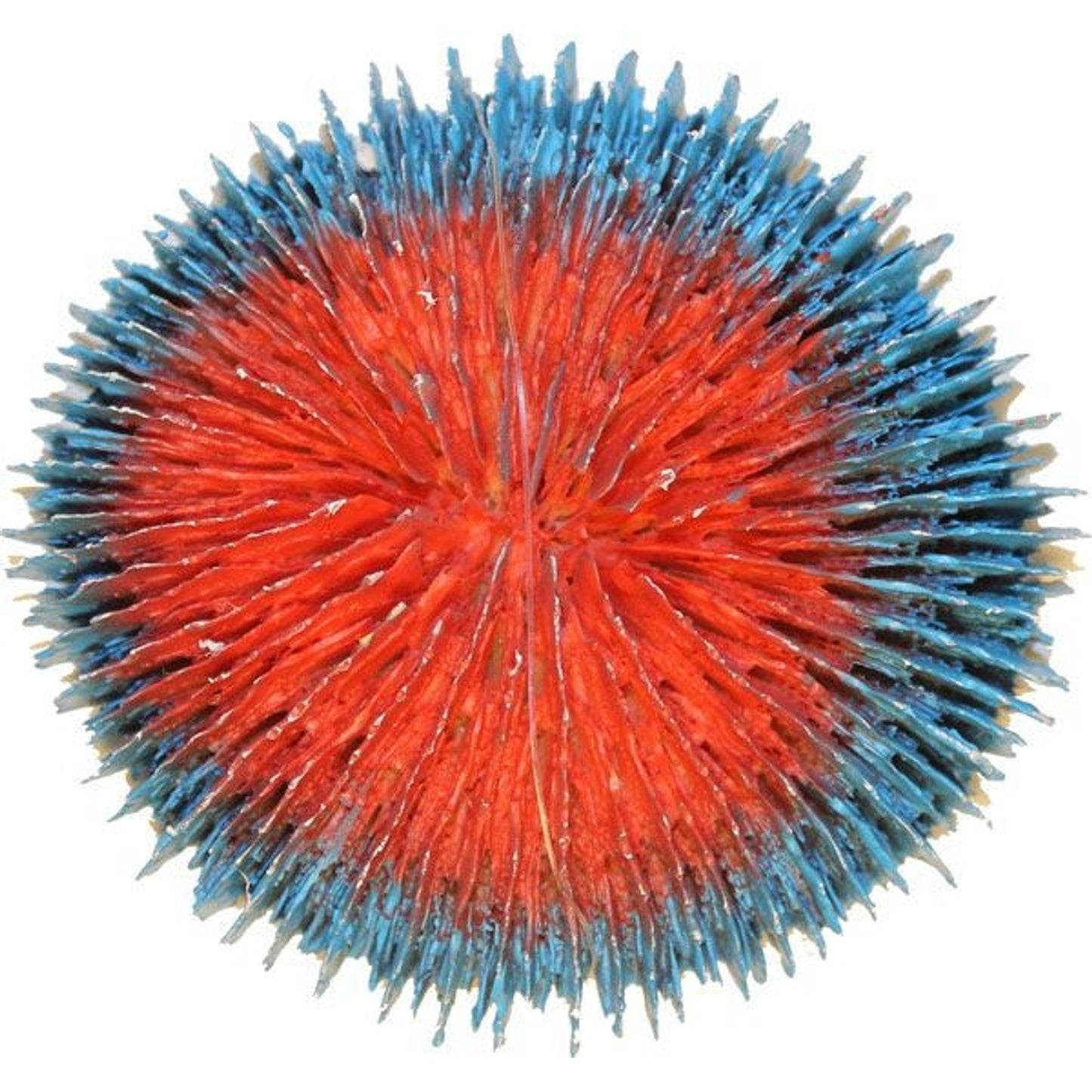 TH1526948.jpg