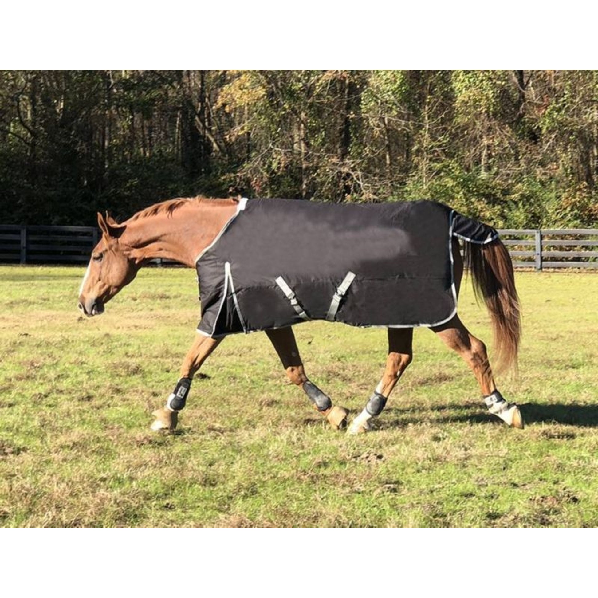 WorldBeater 1200D Turnout Blanket 60IN Dark Navy