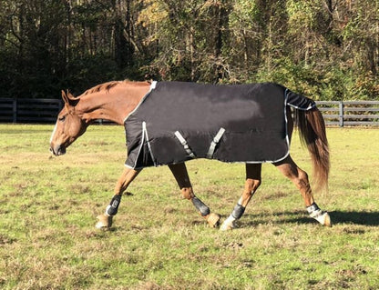 WorldBeater 1200D Turnout Blanket 60IN Dark Navy
