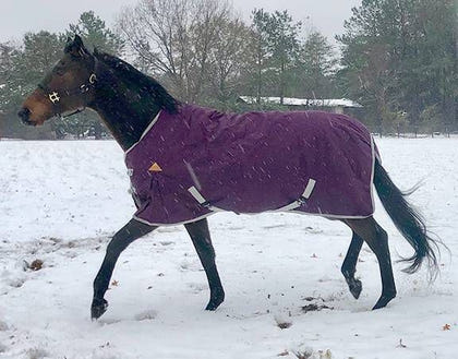 WorldBeater 1200D Turnout Blanket 60IN Dark Navy