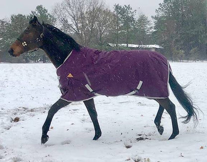 WorldBeater 1200D Turnout Blanket 60IN Dark Navy
