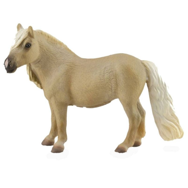 Corral Pals Falabella Palomino Mare