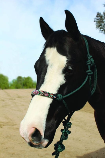 Professionals Choice Beaded Rope Halter