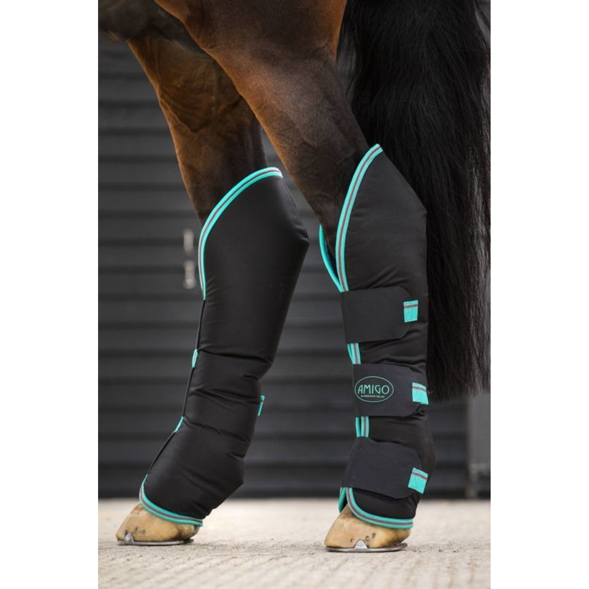 Amigo Travel Boots