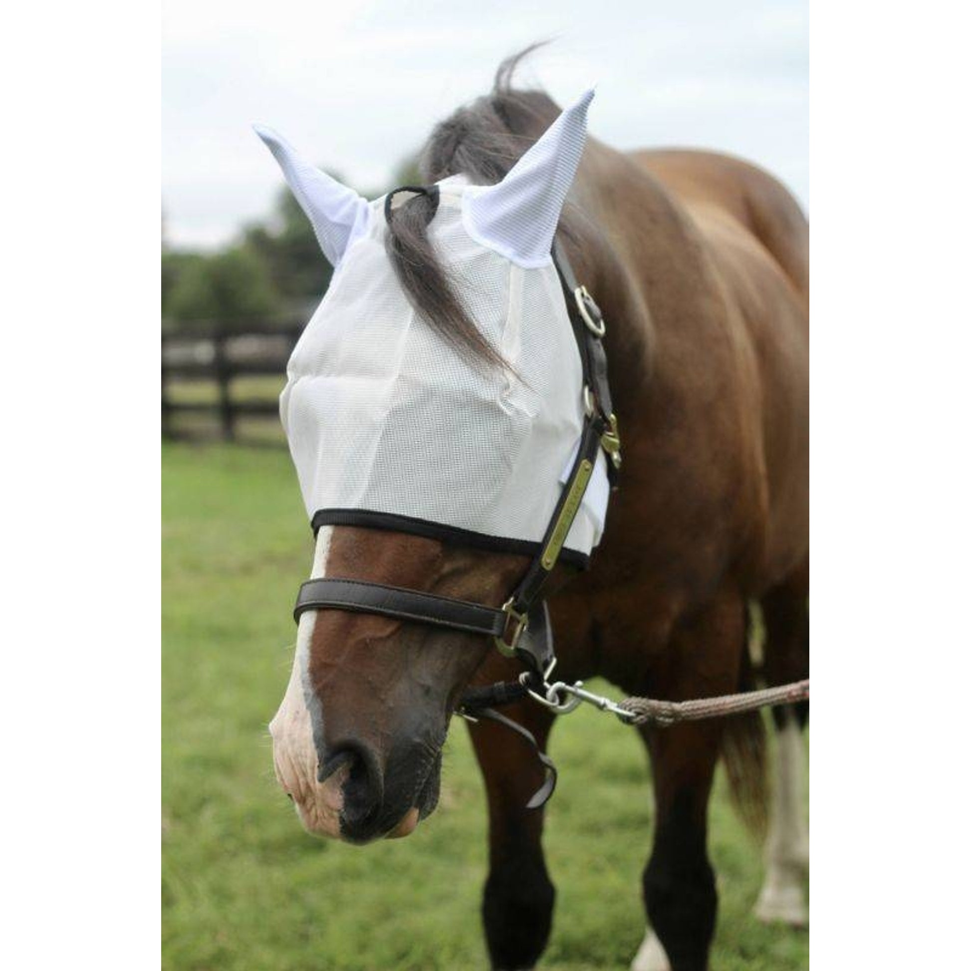 TuffRider Fly Mask with Ears