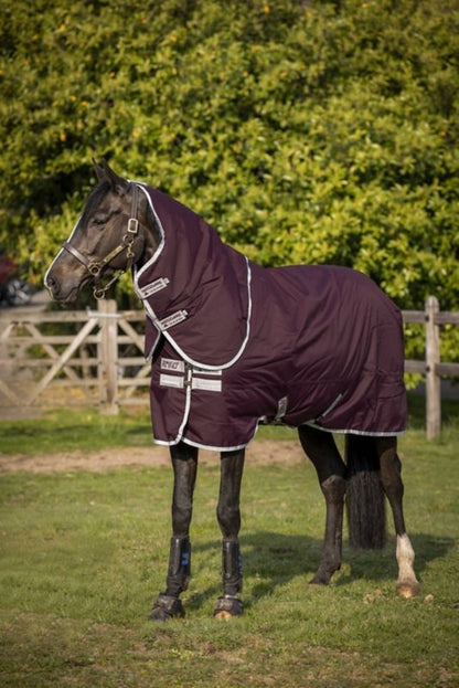 Simple Solution Pet Stain and Odor Remover 1 Gal
