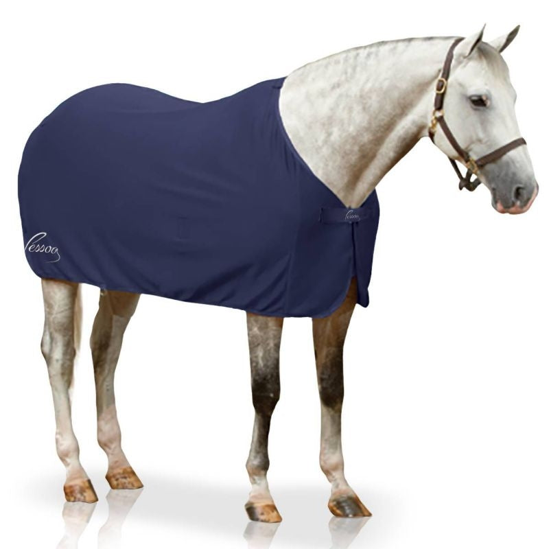 Pessoa Turbo-Dry Cooler