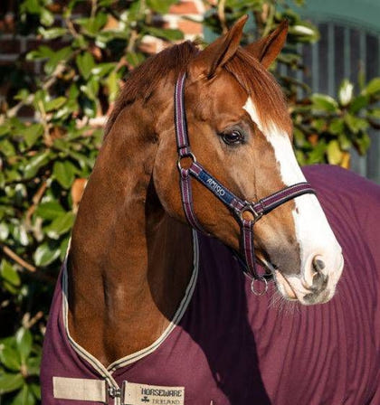 Amigo Headcollar Cob Navy/Silver