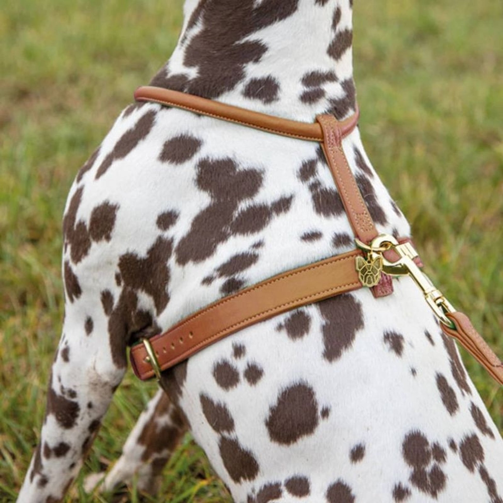 Shires Digby Rolled Leather Harness