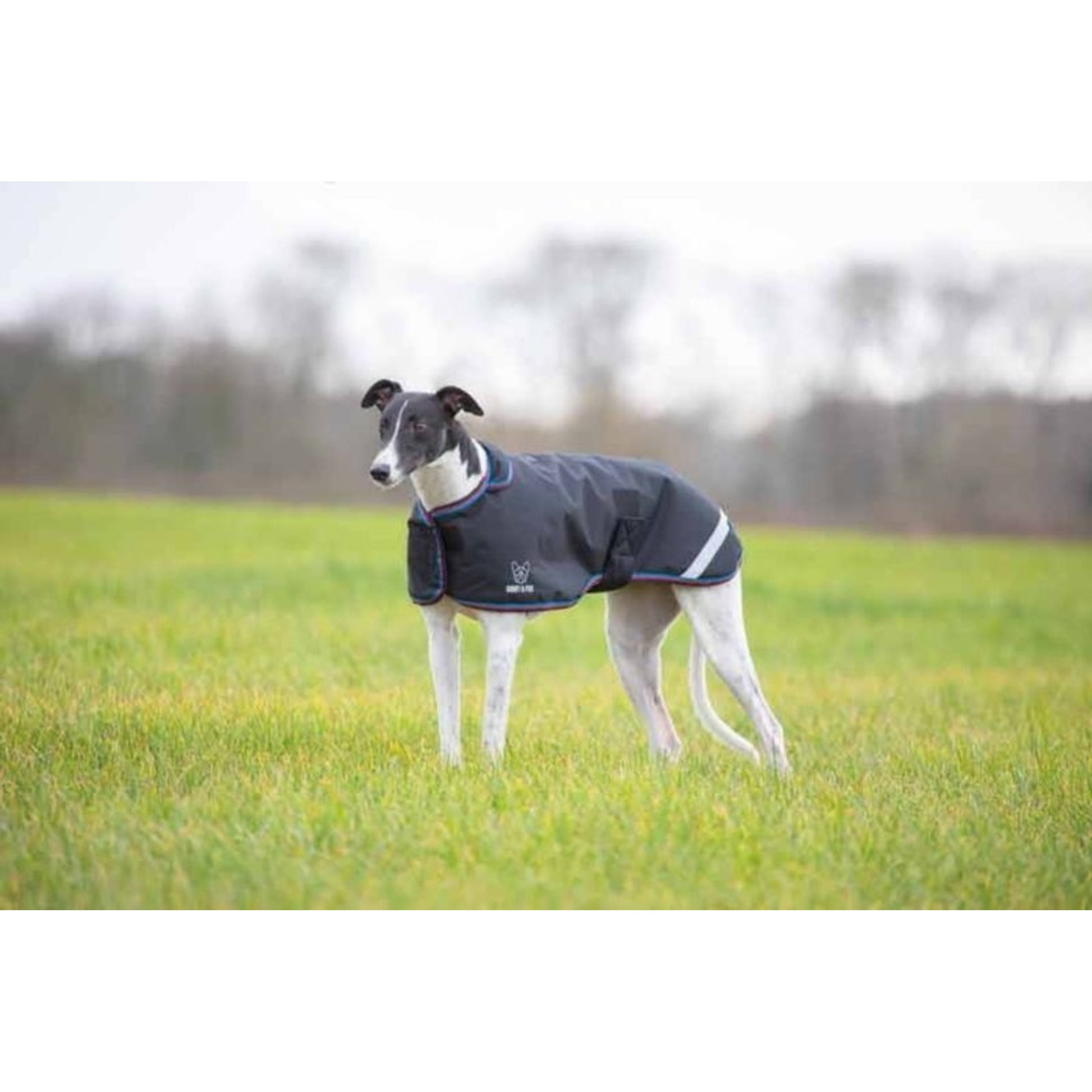 Shires Digby & Fox Waterproof Greyhound Coat Large