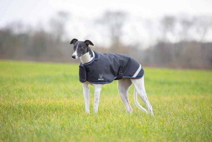 Shires Digby & Fox Waterproof Greyhound Coat Large