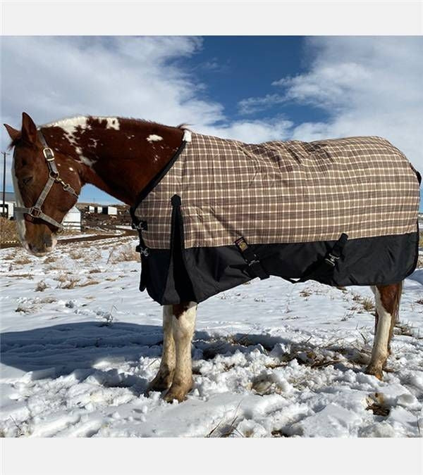 Baker Black Label Heavy Weight Turnout Blanket 400