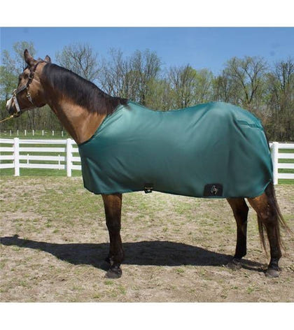 Tough1 Large Polymar Whip/Crop Holder 12 Brn