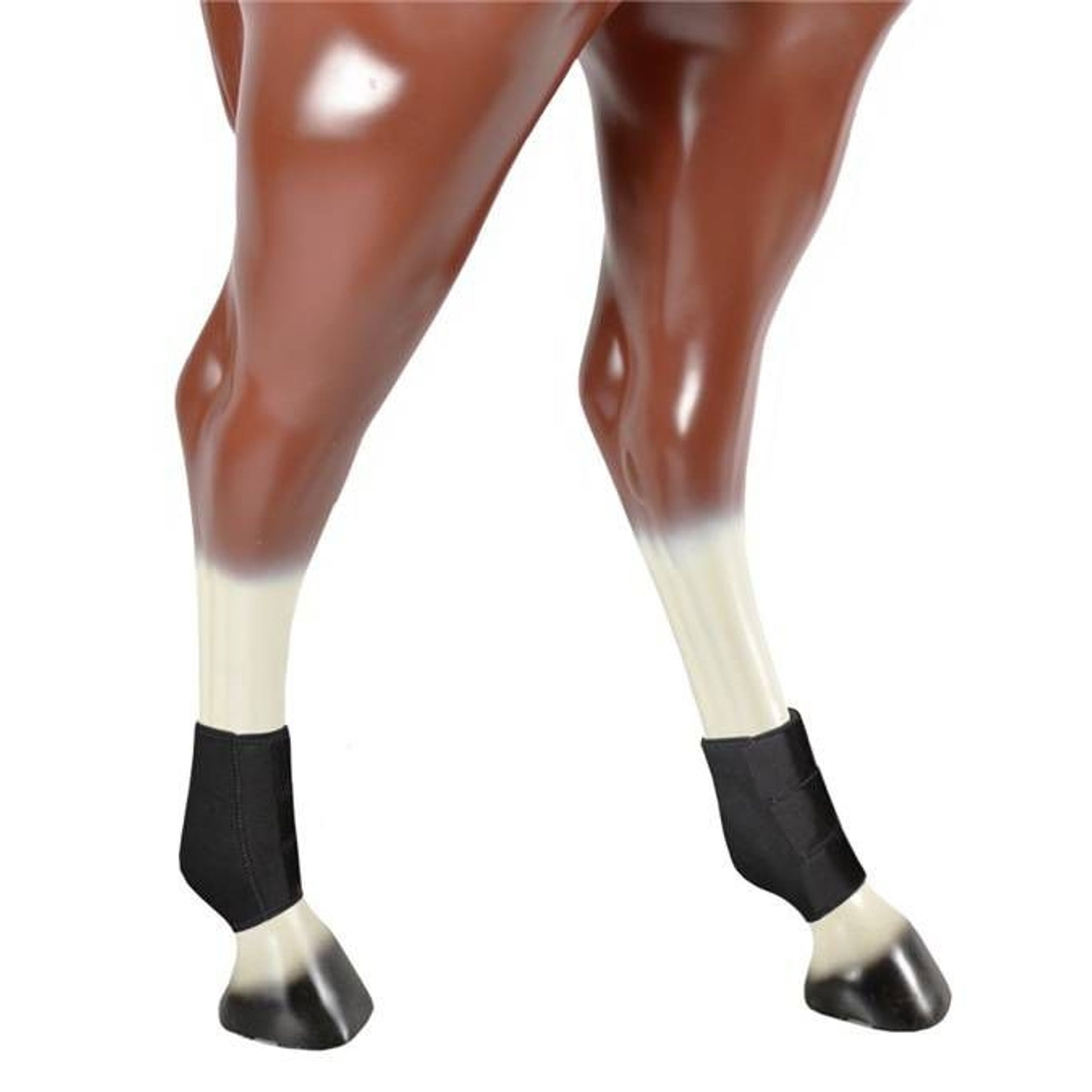 TH1656768_11280.jpg