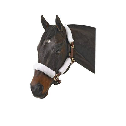 Jacks Halter Kit Set of 4 Black