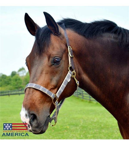 Baker Breakaway Halter with Full Leather Crown Cob