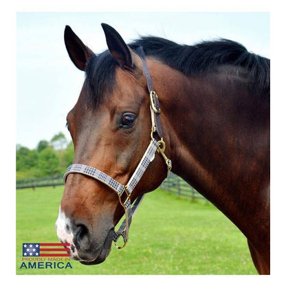 Baker Breakaway Halter with Full Leather Crown Cob