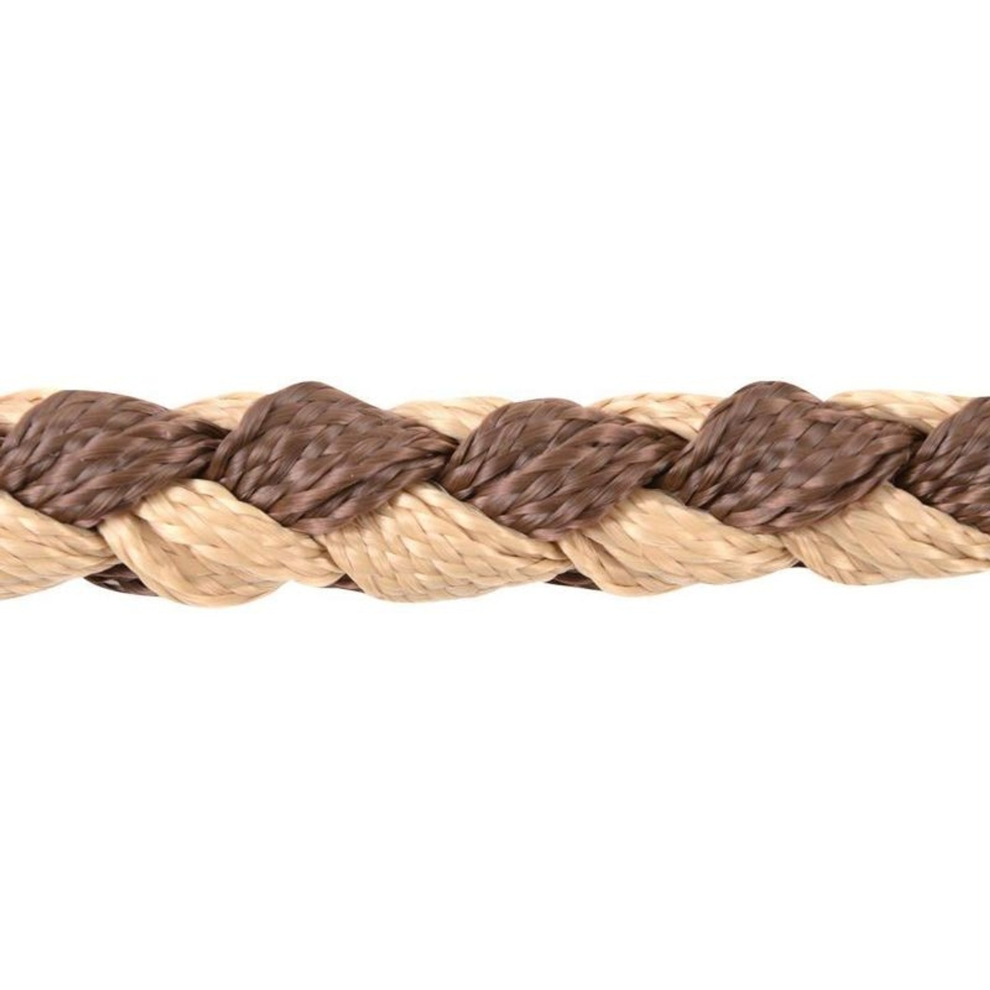 Classic Equine Braided Nylon Tape Halter with 8' L