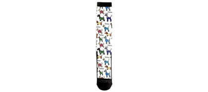 Ovation Ladies FootZees Sock