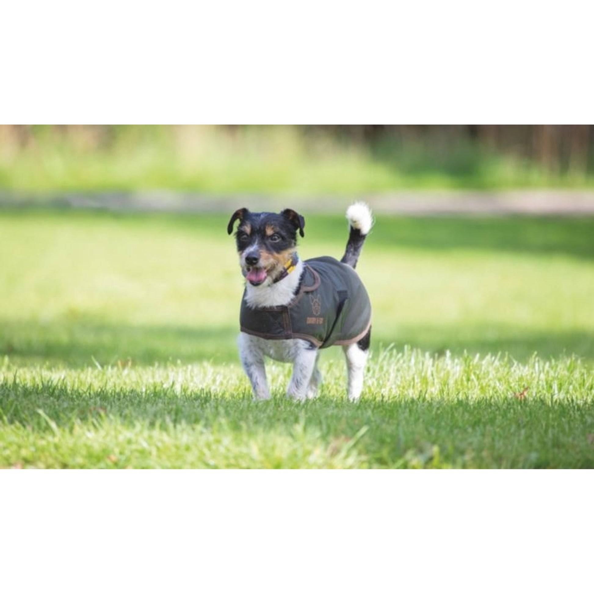 Shires Digby/Fox Wax Coat