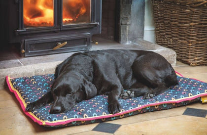 Shires Digby Waterproof Dog Bed