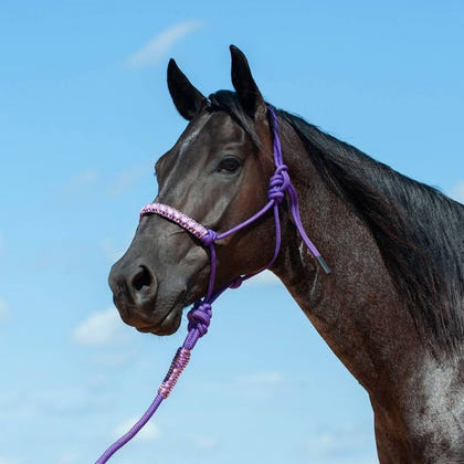 Cashel Braided Rope Halter with Lead 8 Ft Lead Black