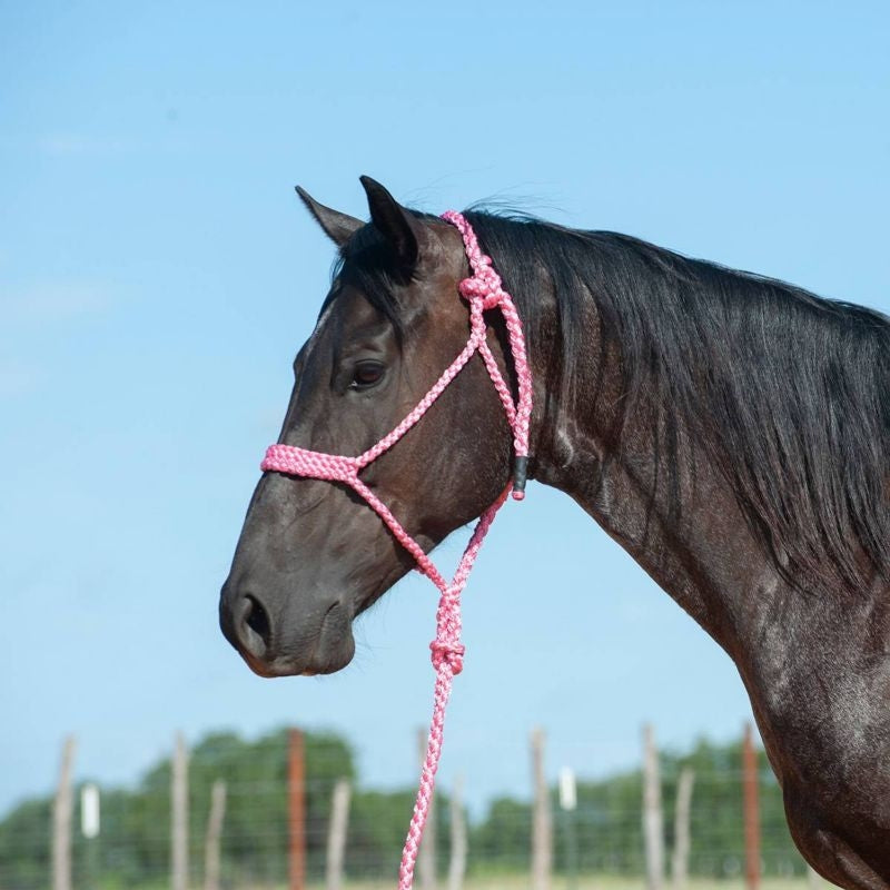 Cashel Flat Braid Halter with 9 Ft Lead Black