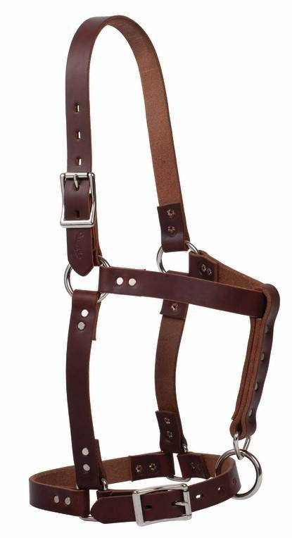 Weaver Riveted Halter with CatchStrap