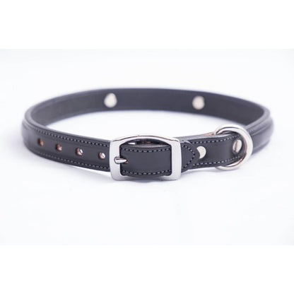 Tory Leather Raised Dog Collar with Nickel Bit 18"