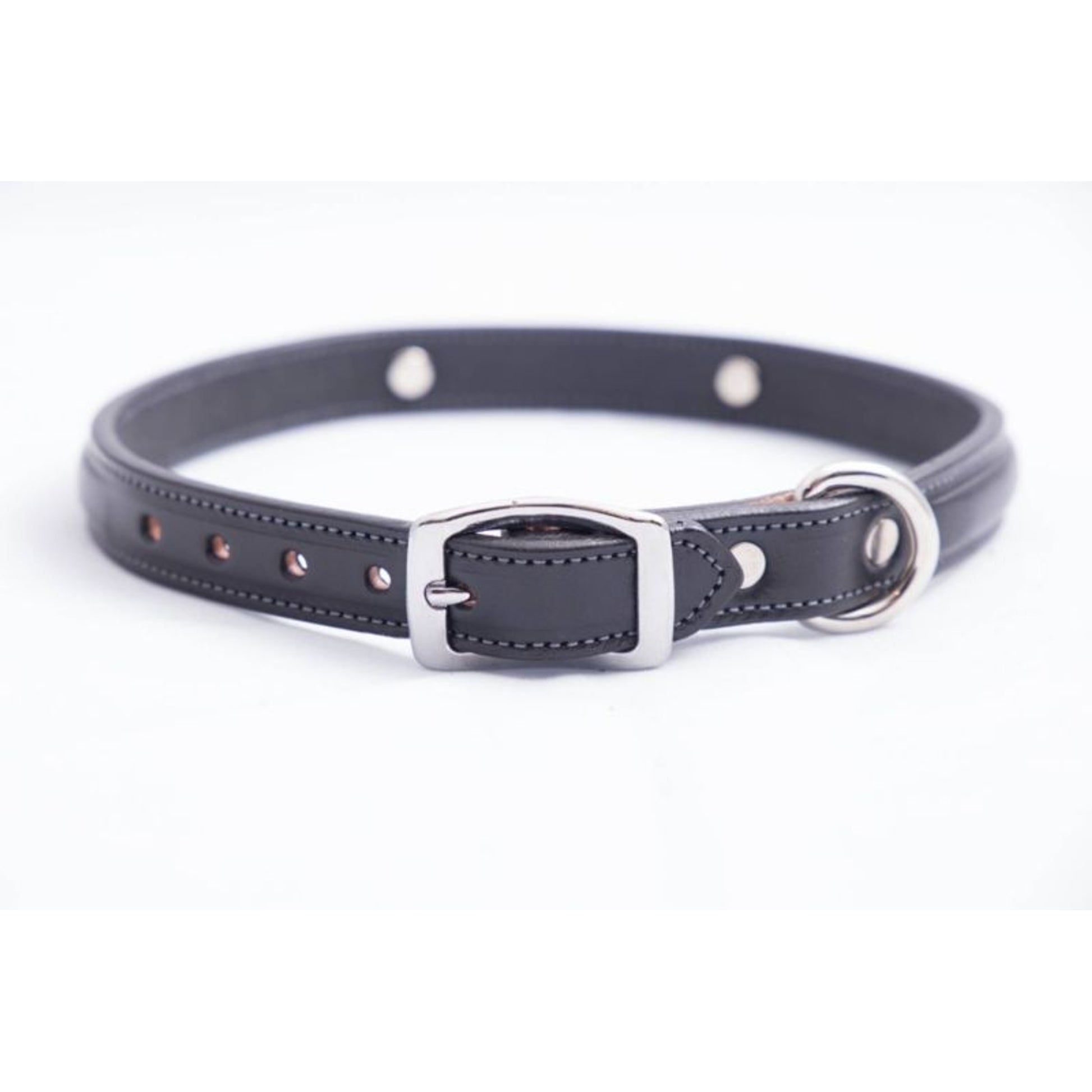 Tory Leather Raised Dog Collar with Nickel Bit 18"
