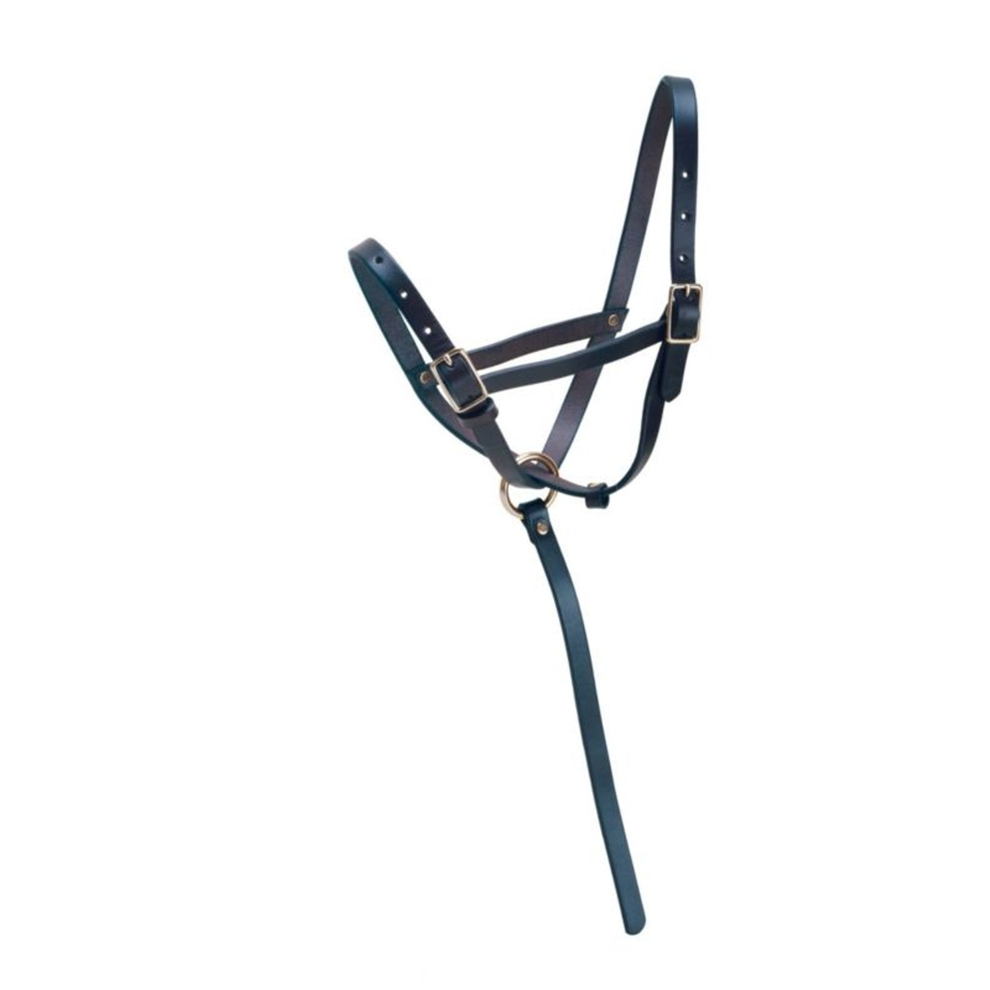 Tory Leather Leather Foal Slip Halter with Adjusta