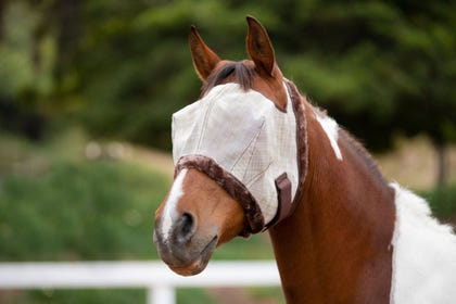 Kensington Fly Mask with Fleece Trim