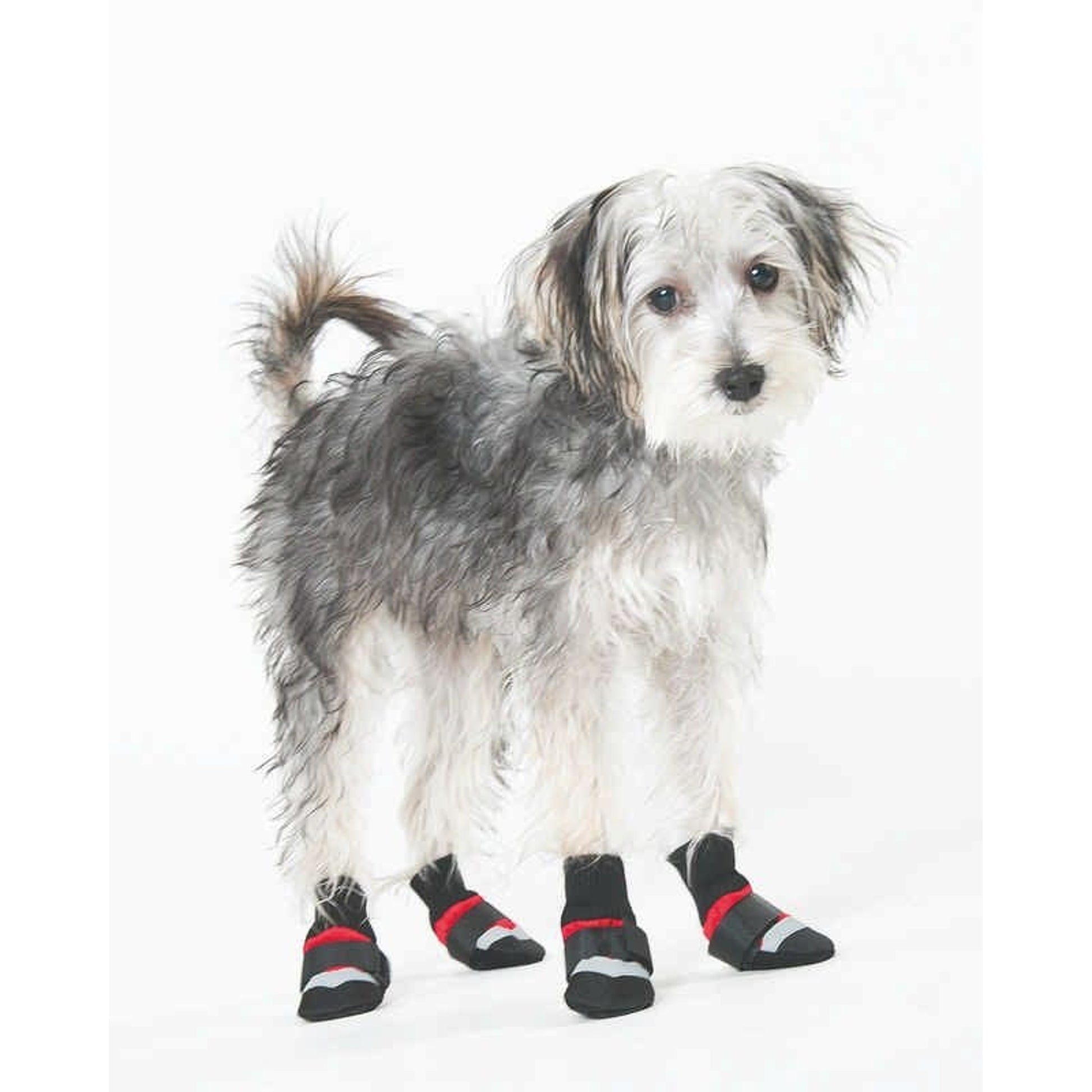 Extreme All Weather Dog Boots LG Red/Black